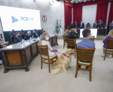 O governador Carlos Massa Ratinho Junior participou nesta quarta-feira (27) da posse da nova mesa diretora do Tribunal de Contas do Paraná (TCE), eleita em dezembro no passado para o comando do órgão de controle no biênio 2020-2021. O conselheiro Fabio Camargo assume a presidência do TCE no lugar de Nestor Baptista, Ivan Bonilha passa a ocupar a vice-presidência e Fernando Guimarães o cargo de corregedor-geral.  Foto: Jonathan Campos/AEN