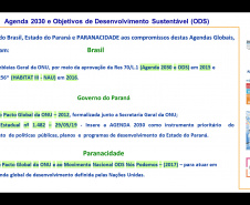 Paranacidade faz encontros para identificar relação entre ações e os ODSs  -  Foto: Divulgação Paranacidade