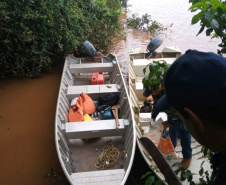 O Instituto Água e Terra (IAT) apreendeu e recolheu 190 itens durante a segunda Força-Tarefa de fiscalização de caça, pesca e floresta. O IAT é vinculado à Secretaria estadual do Desenvolvimento Sustentável e do Turismo (Sedest).  -  Foto: Divulgação Sedest/IAT