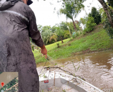 O Instituto Água e Terra (IAT) apreendeu e recolheu 190 itens durante a segunda Força-Tarefa de fiscalização de caça, pesca e floresta. O IAT é vinculado à Secretaria estadual do Desenvolvimento Sustentável e do Turismo (Sedest).  -  Foto: Divulgação Sedest/IAT