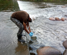 O Instituto Água e Terra (IAT) acompanhou, já nas primeiras horas, o acidente ambiental ocorrido no sábado (13) na BR-376, km 679 + 100m, em Guaratuba, pista sentido Sul, onde um caminhão que transportava produto químico tombou e derramou grande parte de sua carga, atingindo o rio São João.  -  Foto: Divulgação IAT