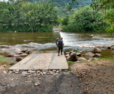 O Instituto Água e Terra (IAT) acompanhou, já nas primeiras horas, o acidente ambiental ocorrido no sábado (13) na BR-376, km 679 + 100m, em Guaratuba, pista sentido Sul, onde um caminhão que transportava produto químico tombou e derramou grande parte de sua carga, atingindo o rio São João.  -  Foto: Divulgação IAT