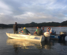 Fiscais da regional do Instituto Água e Terra (IAT) de Curitiba realizaram (do dia 11 ao 15) operação para coibir a pesca ilegal na Represa Capivari Cachoeira, nos municípios de Campina Grande do Sul e Bocaiúva do Sul.  Foto: IAT