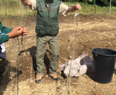 Fiscais da regional do Instituto Água e Terra (IAT) de Curitiba realizaram (do dia 11 ao 15) operação para coibir a pesca ilegal na Represa Capivari Cachoeira, nos municípios de Campina Grande do Sul e Bocaiúva do Sul.  Foto: IAT