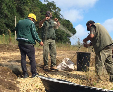 Fiscais da regional do Instituto Água e Terra (IAT) de Curitiba realizaram (do dia 11 ao 15) operação para coibir a pesca ilegal na Represa Capivari Cachoeira, nos municípios de Campina Grande do Sul e Bocaiúva do Sul.  Foto: IAT