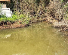 Fiscais do Escritório Regional de União da Vitória do Instituto Água e Terra (IAT) encontraram, nesta sexta-feira (19), diversas irregularidades ambientais em uma propriedade rural de General Carneiro, no extremo Sul do Paraná.  General Carneiro, 19/02/2021  -  Foto: Divulgação SEDEST/IAT