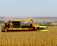 O Paraná que alimenta o mundo. A Agência Estadual de Notícias (AEN) começa a retratar a partir deste mês, em uma série de reportagens, a pujança do Estado na produção de proteínas, grãos, hortaliças, frutas, produtos florestais e outras grandes culturas.   -  Curitiba, 22/02/2021 