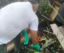 O boletim semanal da dengue confirma nesta terça-feira (23) 425 novos casos da doença no Paraná. O Estado soma 3.129 casos neste período epidemiológico, iniciado em agosto de 2020. Há 344 municípios com notificações para a dengue e 212 apresentam confirmações. São 7.491 casos em investigação.  -  Curitiba, 23/02/2021  -  Foto: Divulgação SESA