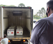 As doses chegaram no aeroporto de São José dos Pinhais na manhã desta quarta-feira e já foram encaminhadas para o Cemepar para o registro, armazenamento em câmara fria com temperatura entre 2 e 8 graus e organização para distribuição entre as Regionais de Saúde do Estado.  Foto: Antonio Americo/SESA