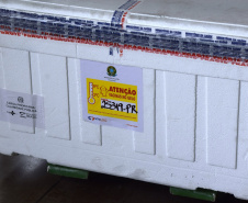 As doses chegaram no aeroporto de São José dos Pinhais na manhã desta quarta-feira e já foram encaminhadas para o Cemepar para o registro, armazenamento em câmara fria com temperatura entre 2 e 8 graus e organização para distribuição entre as Regionais de Saúde do Estado.  Foto: Antonio Americo/SESA