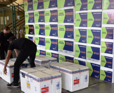As doses chegaram no aeroporto de São José dos Pinhais na manhã desta quarta-feira e já foram encaminhadas para o Cemepar para o registro, armazenamento em câmara fria com temperatura entre 2 e 8 graus e organização para distribuição entre as Regionais de Saúde do Estado.  Foto: Antonio Americo/SESA