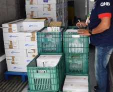 As doses chegaram no aeroporto de São José dos Pinhais na manhã desta quarta-feira e já foram encaminhadas para o Cemepar para o registro, armazenamento em câmara fria com temperatura entre 2 e 8 graus e organização para distribuição entre as Regionais de Saúde do Estado.  Foto: Antonio Americo/SESA