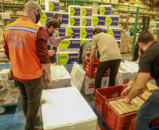A Secretaria de Estado da Saúde recebeu na noite desta quarta-feira (24) uma remessa com 64.800 doses da vacina CoronaVac/Instituto Butantan  Foto: Valdelino Pontes