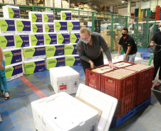 A Secretaria de Estado da Saúde recebeu na noite desta quarta-feira (24) uma remessa com 64.800 doses da vacina CoronaVac/Instituto Butantan  Foto: Valdelino Pontes
