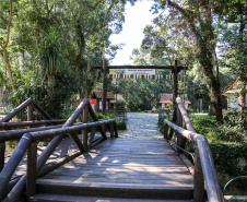 Bosque Papa João Paulo II no Centro Cívico em Curitiba.  Curitiba, 09/07/2019 -  Foto: Geraldo Bubniak/ANPr