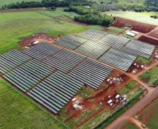 A Copel colocou em operação hoje, dia 1º, as três primeiras unidades geradoras da Usina Solar Fotovoltaica Bandeirantes, construída no norte do Paraná. Inicialmente a usina vai funcionar com 3 MWp (megawatt-pico, unidade de potência de energia fotovoltaica). - Curitiba, 01/03/2021  -  Foto: Divulgação Copel