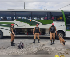 Os cães da Polícia Militar têm sido importantes aliados no processo de apreensão de drogas. Durante a Operação Verão Consciente, os cães Hórus e Argos foram destaque no auxílio aos policiais na apreensão de entorpecentes. - Foto: Divulgação PMPR