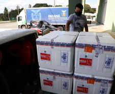 O Governo do Estado receu neste sábado (20),  mais 240.450 doses de vacinas contra o coronavírus. São 234.200 doses da Coronavac, produzida pela Sinovac e Instituto Butantan, e 6.250 do imunizante desenvolvido pela Universidade de Oxford/AstraZeneca, parte do primeiro lote fabricado pela Fundação Oswaldo Cruz (Fiocruz).  -  Curitiba, 20/03/2021  -  Foto: Ari Dias/AEN