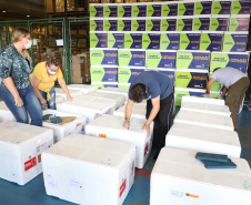 O Governo do Estado receu neste sábado (20),  mais 240.450 doses de vacinas contra o coronavírus. São 234.200 doses da Coronavac, produzida pela Sinovac e Instituto Butantan, e 6.250 do imunizante desenvolvido pela Universidade de Oxford/AstraZeneca, parte do primeiro lote fabricado pela Fundação Oswaldo Cruz (Fiocruz).  -  Curitiba, 20/03/2021  -  Foto: Ari Dias/AEN