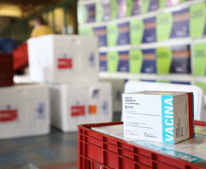 O Governo do Estado receu neste sábado (20),  mais 240.450 doses de vacinas contra o coronavírus. São 234.200 doses da Coronavac, produzida pela Sinovac e Instituto Butantan, e 6.250 do imunizante desenvolvido pela Universidade de Oxford/AstraZeneca, parte do primeiro lote fabricado pela Fundação Oswaldo Cruz (Fiocruz).  -  Curitiba, 20/03/2021  -  Foto: Ari Dias/AEN