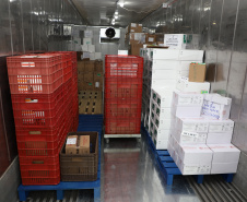 O Governo do Estado receu neste sábado (20),  mais 240.450 doses de vacinas contra o coronavírus. São 234.200 doses da Coronavac, produzida pela Sinovac e Instituto Butantan, e 6.250 do imunizante desenvolvido pela Universidade de Oxford/AstraZeneca, parte do primeiro lote fabricado pela Fundação Oswaldo Cruz (Fiocruz).  -  Curitiba, 20/03/2021  -  Foto: Ari Dias/AEN