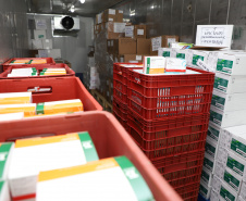 O Governo do Estado receu neste sábado (20),  mais 240.450 doses de vacinas contra o coronavírus. São 234.200 doses da Coronavac, produzida pela Sinovac e Instituto Butantan, e 6.250 do imunizante desenvolvido pela Universidade de Oxford/AstraZeneca, parte do primeiro lote fabricado pela Fundação Oswaldo Cruz (Fiocruz).  -  Curitiba, 20/03/2021  -  Foto: Ari Dias/AEN