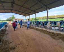 Parceria entre Sanepar e Frísia protege mananciais e beneficia produtores. - Técnicos da Frísia e da Sanepar acompanham o andamento do projeto  -  Foto: Divulgação Sanepar