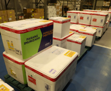 Mais 363.340 doses de vacinas contra o coronavírus foram distribuídas às 22 Regionais de Saúde do Paraná nesta sexta-feira (16). A 13ª remessa recebida pelo Ministério da Saúde é composta por 138.090 doses da CoronaVac, produzida pelo Instituto Butantan/Sinovac, e 225.250 doses da Covishield, produzida pela Universidade de Oxford/AstraZeneca/Fiocruz. - Curitiba, 16/04/2021  -  Foto: Ari Dias/AEN