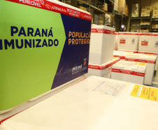 Mais 363.340 doses de vacinas contra o coronavírus foram distribuídas às 22 Regionais de Saúde do Paraná nesta sexta-feira (16). A 13ª remessa recebida pelo Ministério da Saúde é composta por 138.090 doses da CoronaVac, produzida pelo Instituto Butantan/Sinovac, e 225.250 doses da Covishield, produzida pela Universidade de Oxford/AstraZeneca/Fiocruz. - Curitiba, 16/04/2021  -  Foto: Ari Dias/AEN