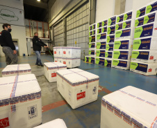 Um novo carregamento com 368.050 doses de vacinas contra a Covid-19 chega  no Centro de Medicamentos do Paraná (Cemepar), em Curitiba, na noite desta quinta-feira (15).  São 142.800 doses da CoronaVac/Butantan e 225.250 doses da vacina de Oxford/AstraZeneca/Fiocruz.Foto: Geraldo Bubniak/AEN