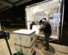 Um novo carregamento com 368.050 doses de vacinas contra a Covid-19 chega  no Centro de Medicamentos do Paraná (Cemepar), em Curitiba, na noite desta quinta-feira (15).  São 142.800 doses da CoronaVac/Butantan e 225.250 doses da vacina de Oxford/AstraZeneca/Fiocruz.Foto: Geraldo Bubniak/AEN