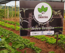 Moradores de Araruna ganham primeira Horta Comunitária. Foto:SEAB