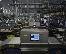 Palotina - 10-10-2020 - Cooperativa C Vale - Industria de Aves e Tilapia  - Foto : Jonathan Campos / AEN