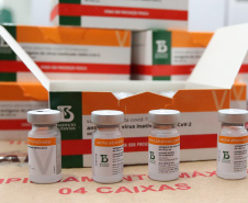 O voo comercial da companhia Gol pousa no Aeroporto Internacional Afonso Pena, em São José dos Pinhais, na Região Metropolitana de Curitiba, às 10h05. Logo em seguida as doses serão encaminhadas para o Centro de Medicamentos do Paraná (Cemepar), onde serão separadas para encaminhamento para as 22 Regionais de Saúde. Foto: Geraldo Bubniak/AEN