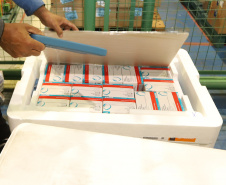Com novo lote de 406,1 mil doses, Paraná imunizará pessoas com comorbidades e gestantes. Foto: Geraldo Bubniak/AEN