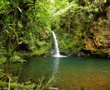 O Instituto Água e Terra (IAT), órgão vinculado à Secretaria do Desenvolvimento Sustentável e do Turismo, foi o vencedor da 27ª edição do Prêmio Expressão de Ecologia na categoria Recuperação de Áreas Degradadas.-  Curitiba, 03/05/2021  -  Foto: Divulgação SEDEST