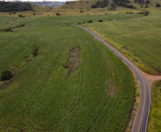 Um dos principais segmentos econômicos de Iretama, o turismo regional ganhou um importante impulso nesta quinta-feira (6). O governador Carlos Massa Ratinho Junior inaugurou a obra de recuperação asfáltica de um trecho de 3 quilômetros da PR-462, batizada recentemente de Estrada Municipal Bernardo Ribas Carli, em homenagem ao deputado estadual morto em um desastre aéreo em 2018. Foto: Gilson Abreu/AEN