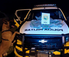 A eficácia dos serviços executados pela Companhia de Operações com Cães (COC) do Batalhão de Operações Especiais (BOPE) da Polícia Militar do Paraná (PMPR) elevou os números de apreensões de drogas e armas de fogos nos últimos 16 meses