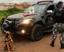 A eficácia dos serviços executados pela Companhia de Operações com Cães (COC) do Batalhão de Operações Especiais (BOPE) da Polícia Militar do Paraná (PMPR) elevou os números de apreensões de drogas e armas de fogos nos últimos 16 meses