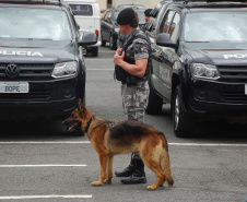 A eficácia dos serviços executados pela Companhia de Operações com Cães (COC) do Batalhão de Operações Especiais (BOPE) da Polícia Militar do Paraná (PMPR) elevou os números de apreensões de drogas e armas de fogos nos últimos 16 meses