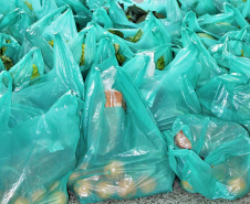 Entrega de alimentos da agricultura familiar  -  Foto: Silvio Turra/Seed