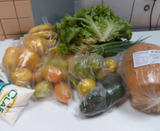 Entrega de alimentos da agricultura familiar  -  Foto: Divulgação/Seed