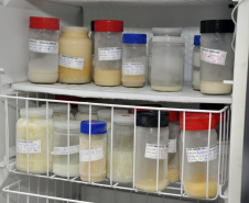 No próximo dia 19 de maio, Dia Mundial de Doação de Leite Humano, o Banco de Leite Humano do Hospital Universitário (HU/UEL) promove a campanha internacional “Doação de leite humano: a pandemia trouxe mudanças, a sua doação traz esperança”.   -  Foto: UEL