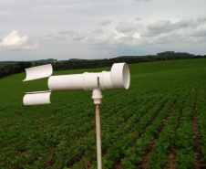 Em 15 de maio, o Paraná dá início ao combate à ferrugem asiática da soja. Nesta data termina o prazo para a colheita ou dessecação da oleaginosa, com o objetivo de preparar as áreas de cultivo para o vazio sanitário, período no qual é proibido semear ou manter plantas vivas de soja no campo.  -  Curitiba, 14/05/2021  -  Foto: SEAB