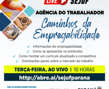 Agência do Trabalhador de Curitiba promove live sobre empregabilidade. Foto:SEJUF