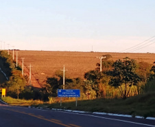 A construção de redes trifásicas para atendimento às áreas rurais em todo o Paraná vai diminuir os desligamentos e trazer mais segurança também para o agronegócio de Umuarama e municípios da região. As equipes de obras da Copel estão em campo para a construção de 162 quilômetros de novas redes em Altônia, Cruzeiro do Oeste, Iporã, Maria Helena, Tapira, Umuarama e Xambrê.  -  Curitiba, 19/05/2021  -  Foto: Copel
