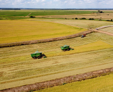 Colheita de arroz - Fazendas Volta Grande e Nova Brasília.Foto: Ari Dias/AEN