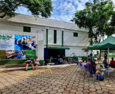 O CastraPet, Programa Permanente de Esterilização de Cães e Gatos, estará em Piraquara, entre os dias 25 e 29 de maio, para castrar mais de 700 animais domésticos no município. Foto:SEDEST