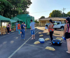 O CastraPet, Programa Permanente de Esterilização de Cães e Gatos, estará em Piraquara, entre os dias 25 e 29 de maio, para castrar mais de 700 animais domésticos no município. Foto:SEDEST