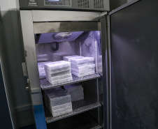 Vacinas da Pfizer serão distribuídas nesta segunda-feira. Foto: Gilson Abreu/AEN